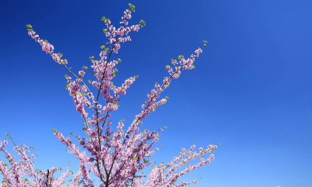 Καιρός: Στους 26-27 βαθμούς έφτασε η θερμοκρασία - Πού θα φτάσει ο υδραργυρος την Κυριακή 