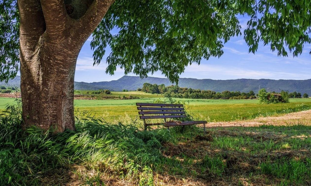 Απίστευτες εικόνες στη Φθιώτιδα: Έπαθε ΣΟΚ με αυτό που βρήκε στον κήπο του