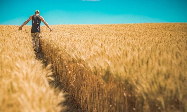 ΕΛΓΑ: Εντός Ιουλίου η καταβολή των αποζημιώσεων για τις ζημιές του 2019