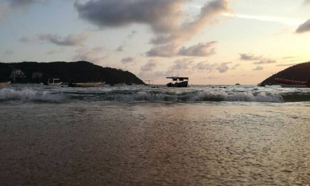 Γέμισε με νεκρά ψάρια η παραλία - Ανατριχιαστικές εικόνες