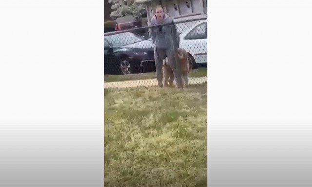 Κορoνοϊός - ΗΠΑ: Καθηγήτρια ρίχνει κατάρα σε μαθητές «να πεθάνετε από Covid-19»