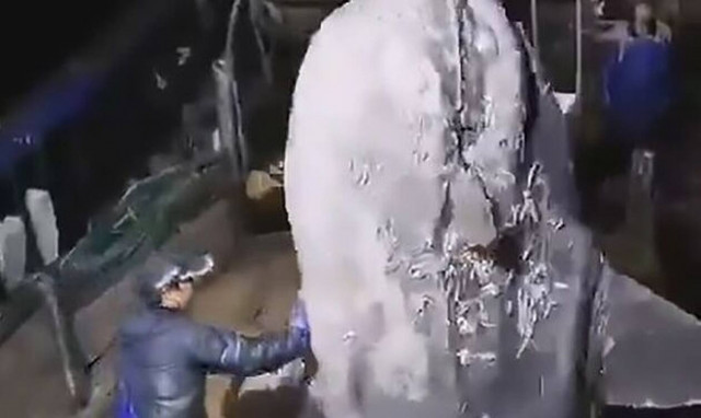 Αυτό είναι το πιο... περίεργο ψάρι του κόσμου!