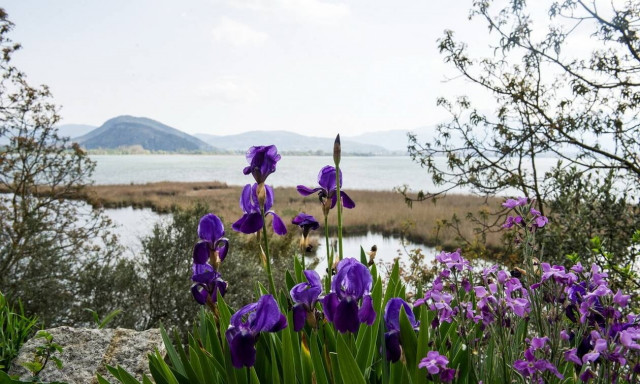 Καιρός: Πρωτομαγιά με ηλιοφάνεια και 27 βαθμούς - Πού και πότε θα βρέξει (pics)