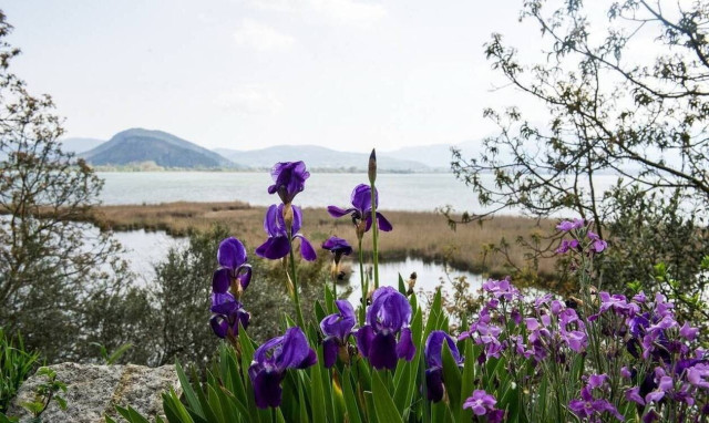 Weather forecast: Mostly fair on Friday (01/05/2020)