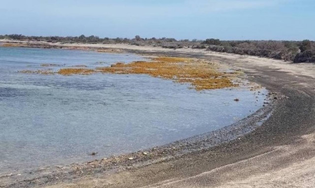 Σεισμός: Απίστευτο - Μίνι «τσουνάμι» στη Κρήτη μετά το σεισμό των 6 ρίχτερ (pics)