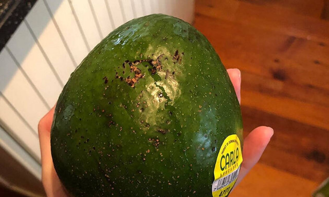 Έμειναν «άφωνοι» όταν είδαν τι είχαν αγοράσει εν μέσω πανδημίας