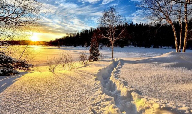 Έτριβαν τα μάτια τους σε χωριό της Εύβοιας