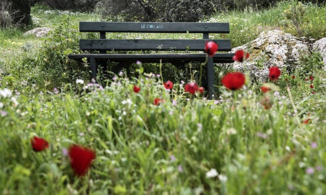 Το παγκάκι του κορονοϊού βρίσκεται στην Καβάλα (pics)