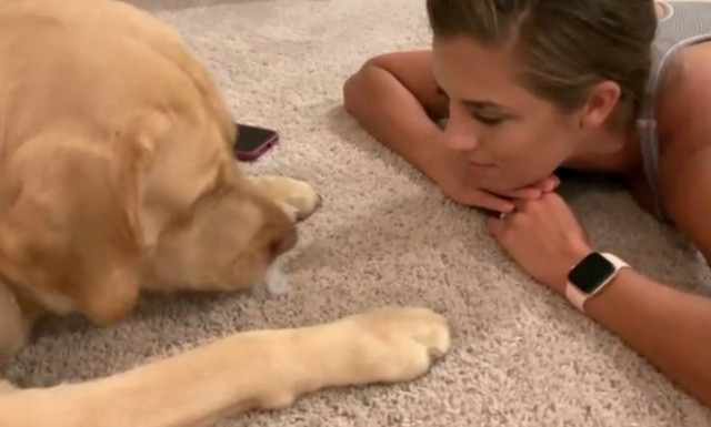 Δείτε τι κάνει ο σκύλος στην πανέμορφη αφεντικίνα του!