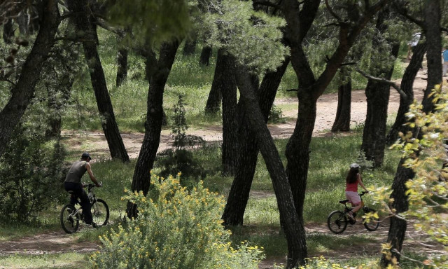 Κορονοϊός- Άρση περιοριστικών μέτρων: Τα πάρκα και τα άλση που ανοίγουν στην Αττική