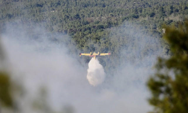 Φωτιές στην Ελλάδα: Έναρξη της αντιπυρικής περιόδου για το 2020 