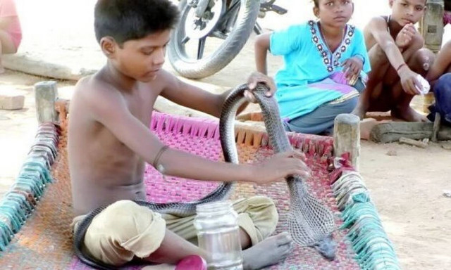 Θα σου σηκωθεί η τρίχα από τα πρώτα 10 δευτερόλεπτα
