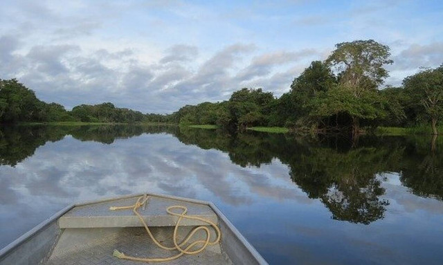 Κορονοϊός: Φυλή ιθαγενών του Αμαζονίου φεύγει στη ζούγκλα για να γλιτώσει 