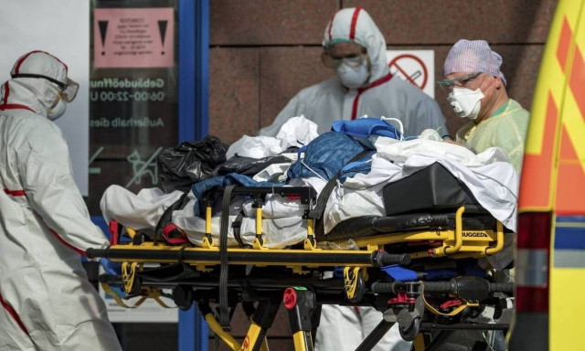 Κορονοϊός: Ανατροπή - Από αυτό το ζώο ξεκίνησε πιθανότατα ο ιός