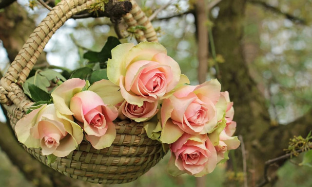 Ημέρα της Μητέρας: Το συγκινητικό doodle - Χρόνια πολλά σε όλες τις μητέρες