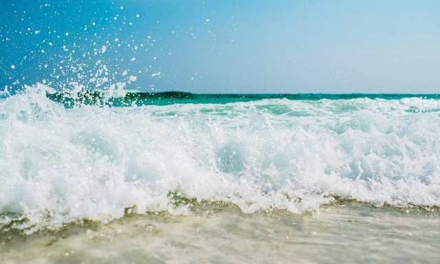 Πτώμα γυναίκας ξεβράστηκε σε παραλία