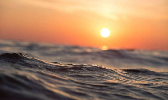 Τρόμος: Τι ξέβρασε η θάλασσα και απειλεί τη ζωή του ανθρώπου (pics)