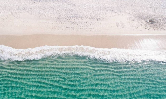 Τρόμος: Απόκοσμο πλάσμα ξεβράστηκε σε παραλία (photos)