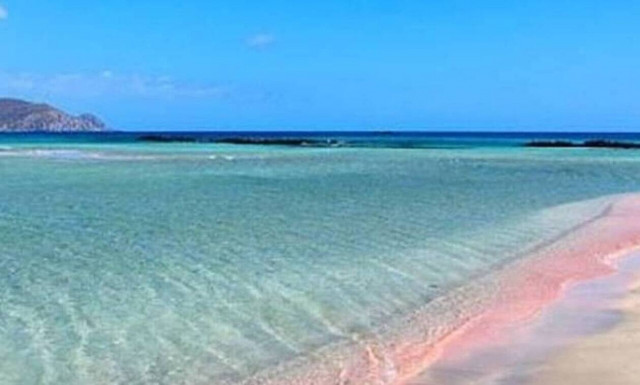 Είδε να φωσφορίζει κάτι στην ακτή – Δεν πίστευε στα μάτια της με αυτό πoυ βρήκε (pics)