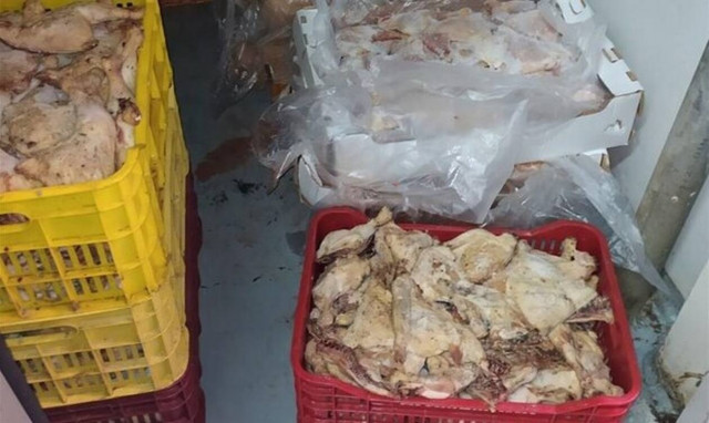 ΣΔΟΕ: Ανακάλυψαν 7 τόνους αλλοιωμένων κρεάτων που θα κατέληγαν σε νοσοκομεία, ΚΥΤ, στρατόπεδα