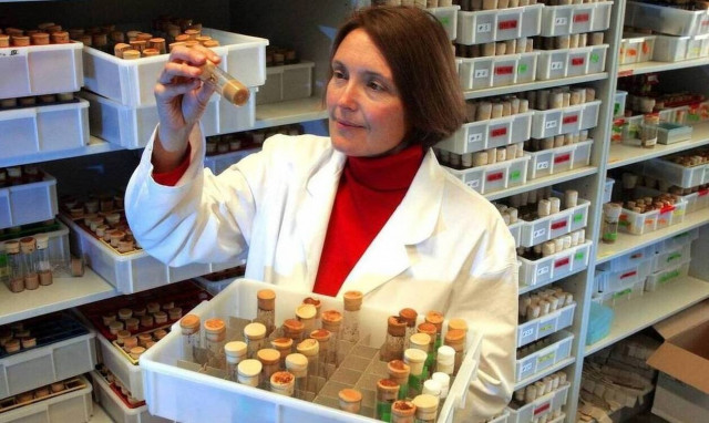 Νέα στοιχεία για τη δολοφονία της βιολόγου στην Κρήτη: Ο δράστης επηρεάστηκε από τον σατανισμό