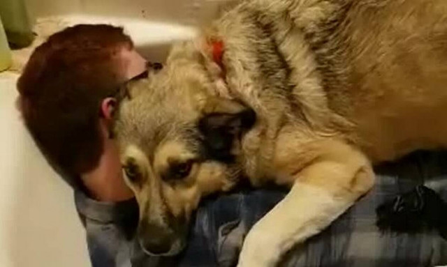 «Σπάει» καρδιές η κίνηση του σκύλου στο αφεντικό του! (vid)