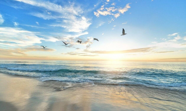 «Πάγωσαν» με αυτό που είδαν στη θάλασσα - Εικόνες από ταινία επιστημονικής φαντασίας