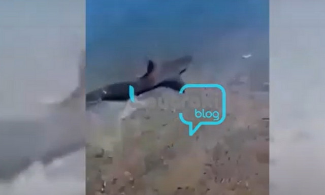 Τρόμος στο Καλαμάκι Κορινθίας: Τι βγήκε στη στεριά (Pics) 