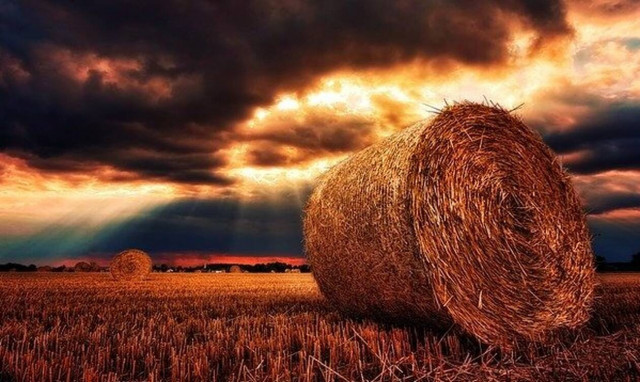 Εύβοια: Ήταν τρομακτικό και πάνω σε μία βάρκα (pic)