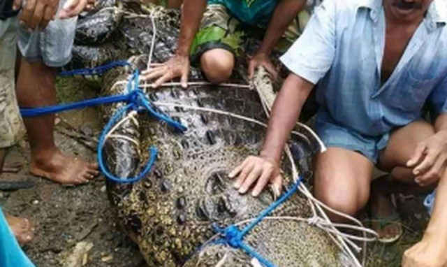 Φρίκη: Κροκόδειλος επιτέθηκε σε 17χρονη – Έπαθαν σοκ όταν βρήκαν το πτώμα της 