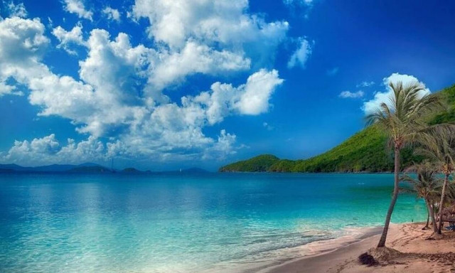 Δες τι απίστευτο είδαν σε θάλασσα στην Εύβοια