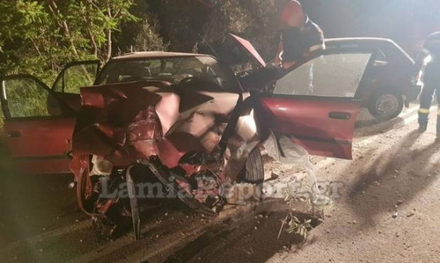 Φθιώτιδα: Αγριογούρουνο προκάλεσε χάος (pics&vid)