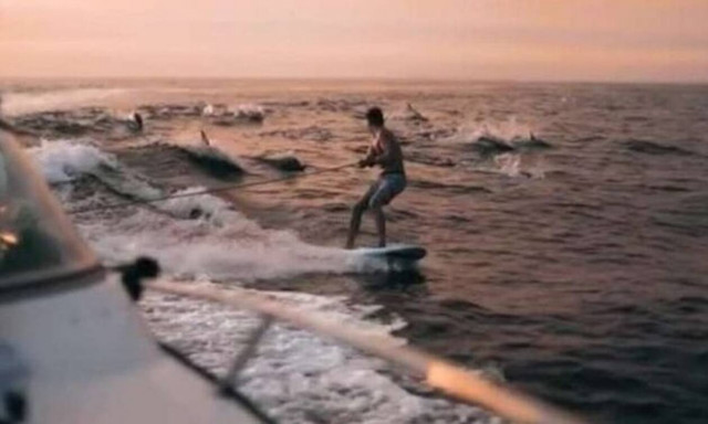 Κάνει σερφ, κοιτάζει πίσω του και… τρελαίνεται! (video)
