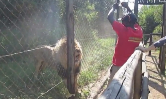 Βλέπεις το βίντεο και απλά… κρατάς την ανάσα σου!