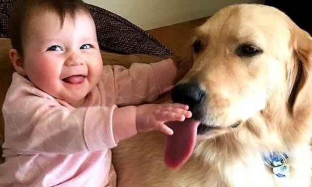 Μωράκι τρελαίνεται στα γέλια με τον σκύλο του! (vid)