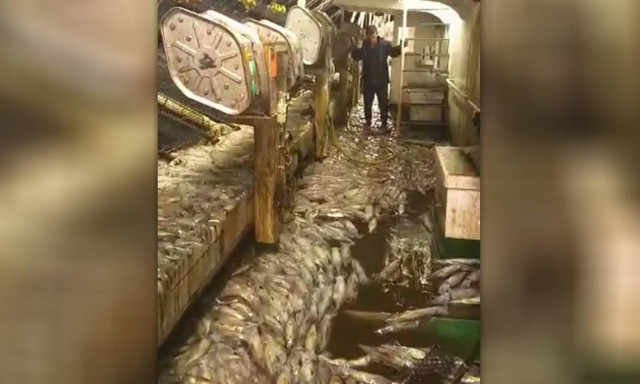 Δεν υπάρχει! Έκαναν την ψαριά της ζωής τους! Δείτε πόσα... έβγαλαν (pics)