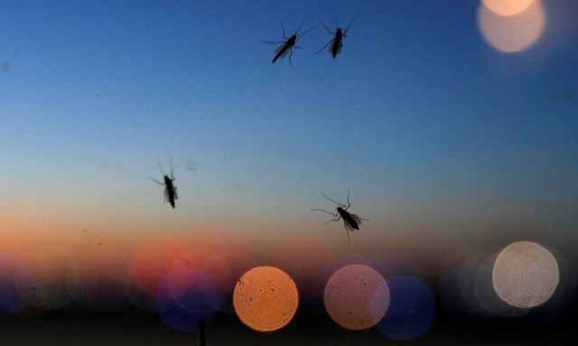 Μέτρα για τις ελλείψεις και έλεγχο του αίματος για τον ιό του Δυτικού Νείλου ζητούν οι θαλασσαιμικοί