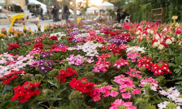 Δήμος Κηφισιάς: Στις 29 Μαΐου η 66η Ανθοκομική Έκθεση Κηφισιάς