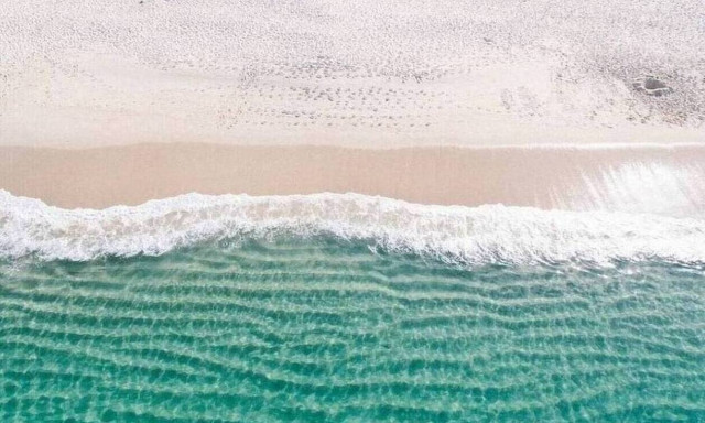 Τρόμος στη θάλασσα: Κολυμβητής ήρθε πρόσωπο με πρόσωπο με τον… εφιάλτη