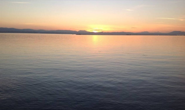 Εύβοια: Δεν θα πιστέψεις τι πλάσμα είδε έξω από το παράθυρο