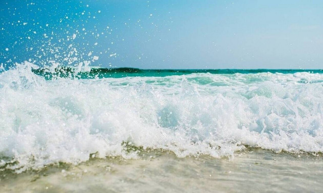 Φρίκη σε παραλία - «Πάγωσαν» όλοι όταν κοίταξαν στη θάλασσα (pics)