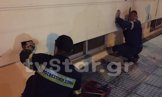 Λαμία: Γατάκια εγκλωβισμένα σε τοίχο έσωσε η Πυροσβεστική - Τι κρύβεται πίσω από αυτή την ιστορία 