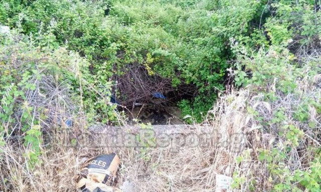 Λαμία: Βρήκαν σακούλα πεταμένη - Ανατρίχιασαν όταν είδαν τι είχε μέσα (pics)