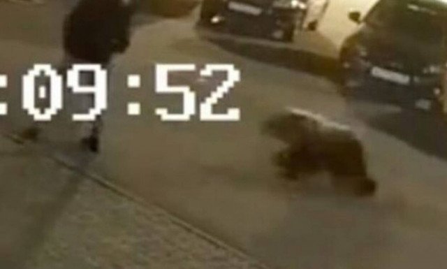 Κάμερα ασφαλείας: Αρκούδα εμφανίζεται από το πουθενά και σκορπά πανικό! (video)