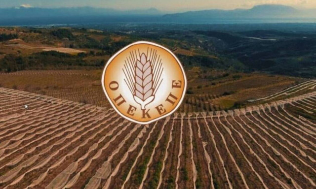ΟΠΕΚΕΠΕ: Νέα πληρωμή 5,2 εκατ. ευρώ σε δικαιούχους αγρότες σήμερα