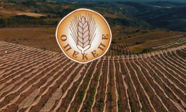 ΟΠΕΚΕΠΕ: Έως 18 Ιουνίου οι αιτήσεις για επιστροφή του 10% σε παραγωγούς