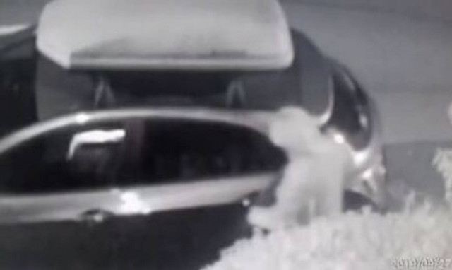 Τσακώθηκε με το γείτονά του: Δείτε πώς τον εκδικήθηκε (pics)