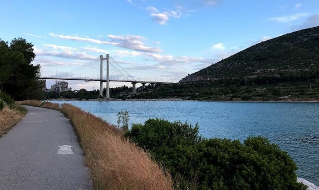 Κυκλοφορούσε στη Χαλκίδα και ήθελε χάδια