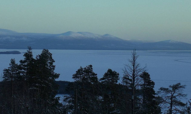 Δείτε τι κολυμπάει στην παγωμένη Λευκή Θάλασσα - Ανατριχιαστικές εικόνες