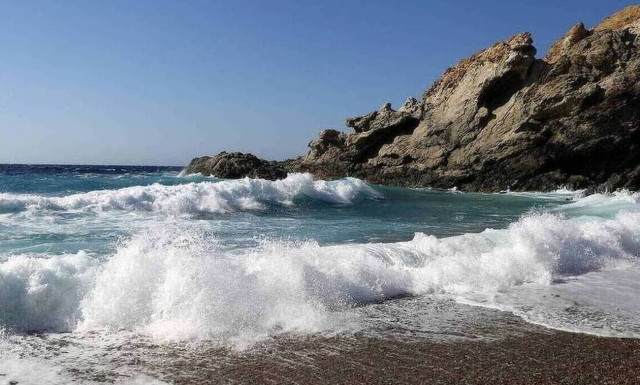 Κτηνωδία στην Κρήτη – Ξεβράστηκε πυροβολημένη φώκια (pics)